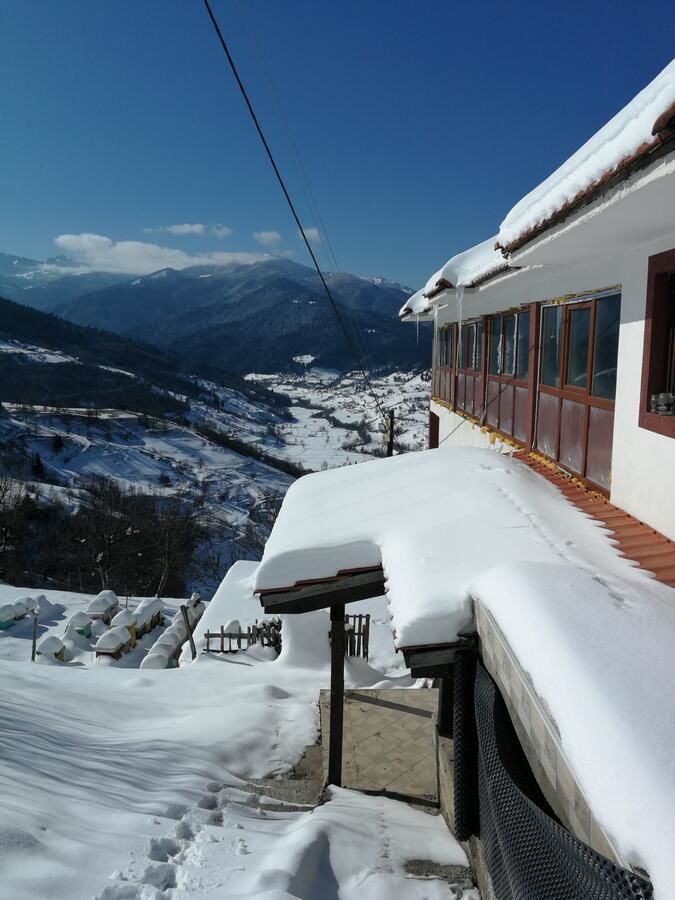 Проживание в семье Eko Village Jasavić Плав-10