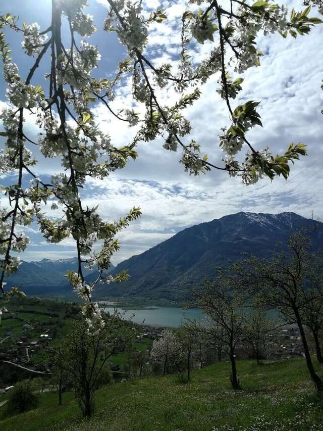 Проживание в семье Eko Village Jasavić Плав-6